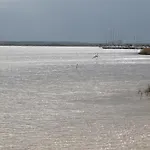 Gemuetlicher Aufenthalt Am Wieker Hafen * Wiek auf Rügen