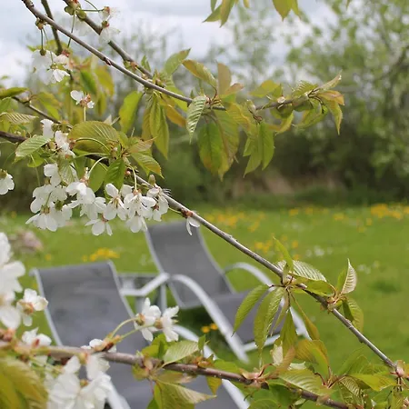 Apartment Gemuetlicher Aufenthalt Am Wieker Hafen Wiek auf Ruegen