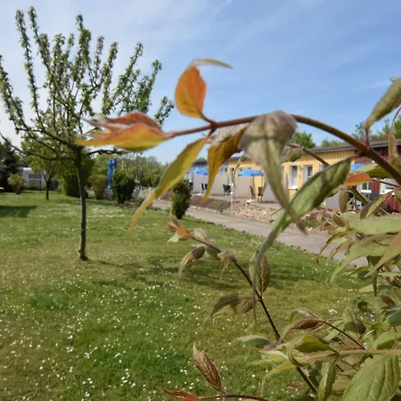 Gemuetlicher Aufenthalt Am Wieker Hafen Apartment *